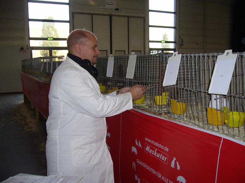 Muenster 2008 525.jpg - Die Preisrichter geben sich mühe um die Tiere richtig zu benoten